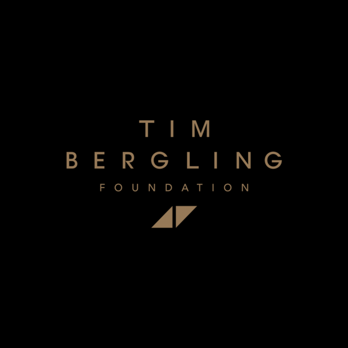 Image for teaser card with title Tim Bergling Foundation